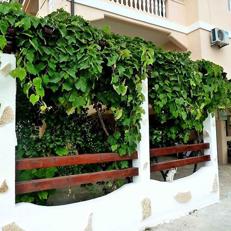 Apartments Papillon Подгорица Екстериор снимка